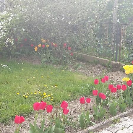 Alom Kucko Apartman Zalaegerszeg Extérieur photo