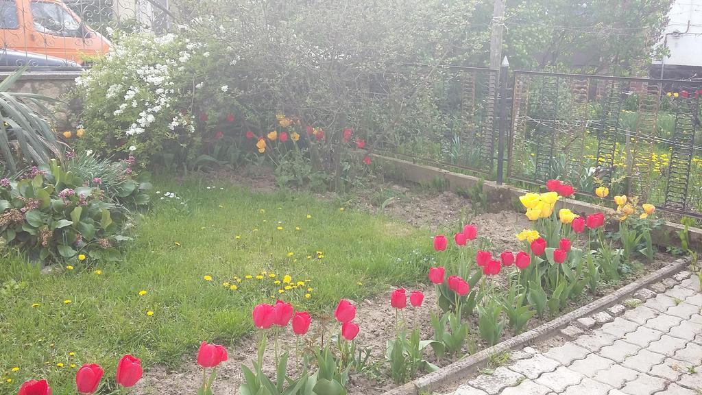 Alom Kucko Apartman Zalaegerszeg Extérieur photo