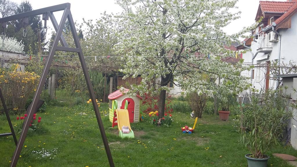 Alom Kucko Apartman Zalaegerszeg Extérieur photo